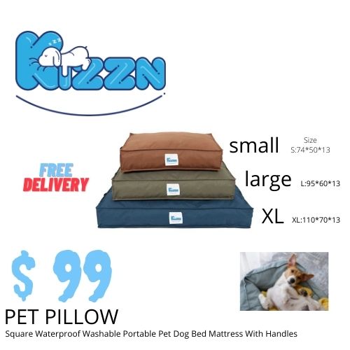 Square Waterproof Washable Portable Pet Dog Bed Mattress With Handles
